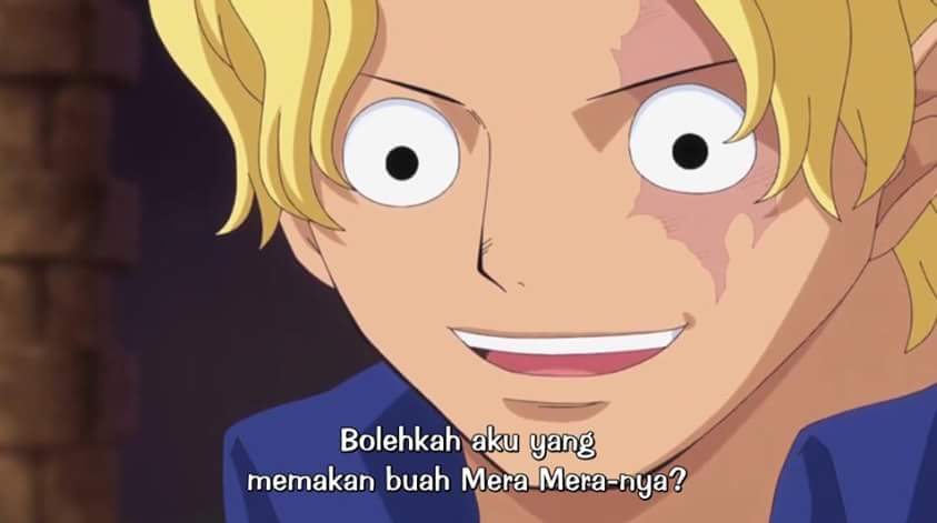 One Piece Episode 738 - Subtitle Indonesia